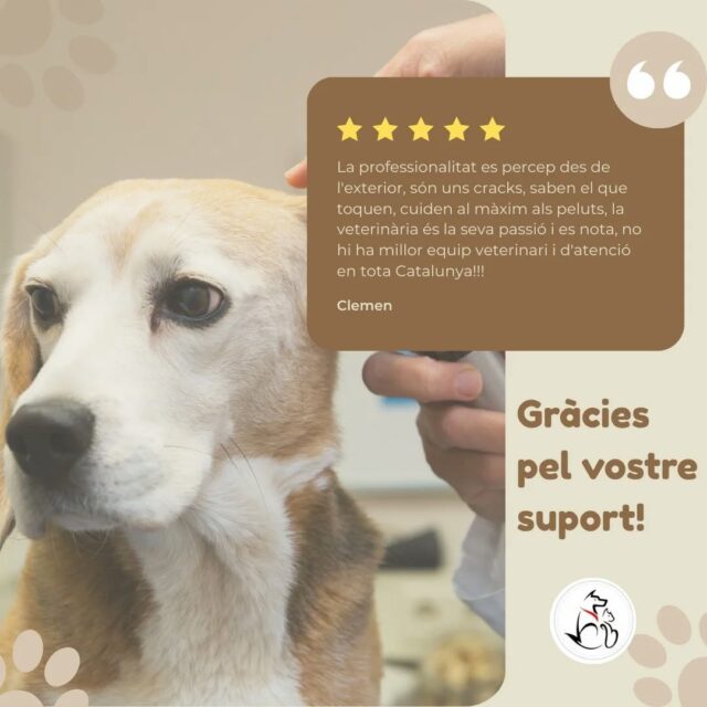 🫂 Gràcies sempre pel vostre suport i la vostra confiança dipositada en Centre Veterinàri Plaça Catalunya i tot l'equip que en formem part.Gràcies pels vostres comentaris i ressenyes 🫶🏻🐶🐱 Els vostres peluts són la nostra raó de ser.#salutanimal #cvpc #equip #gràcies #manresa #centreveterinàri